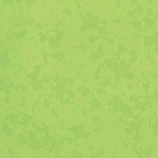 Линолеум Taralay Premium Osmoz 4527 Bamboo фото 1 | FLOORDEALER